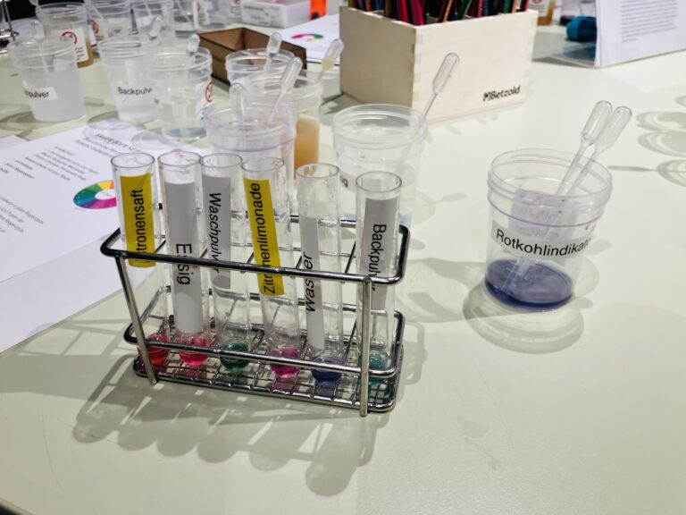 Die Klasse R8a besucht die MS Experimenta