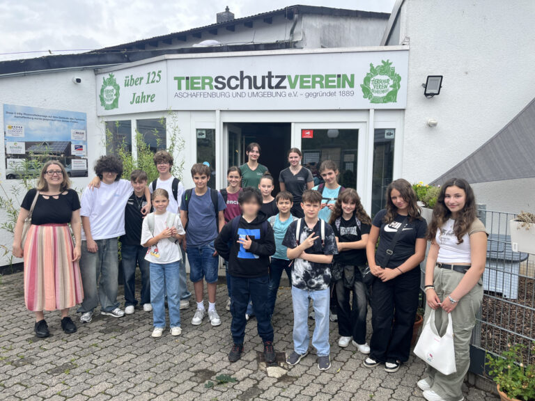 🐾 Besuch im Tierheim Aschaffenburg